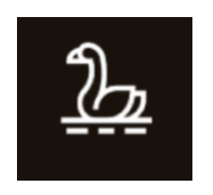 Icon 1